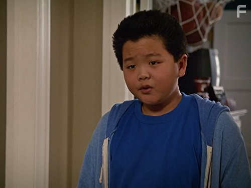 Трудности ассимиляции (2015)