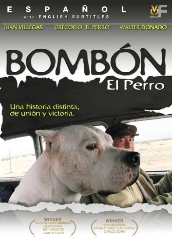 Аргентинский дог