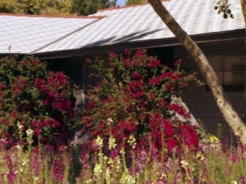 Property Wars (2012)