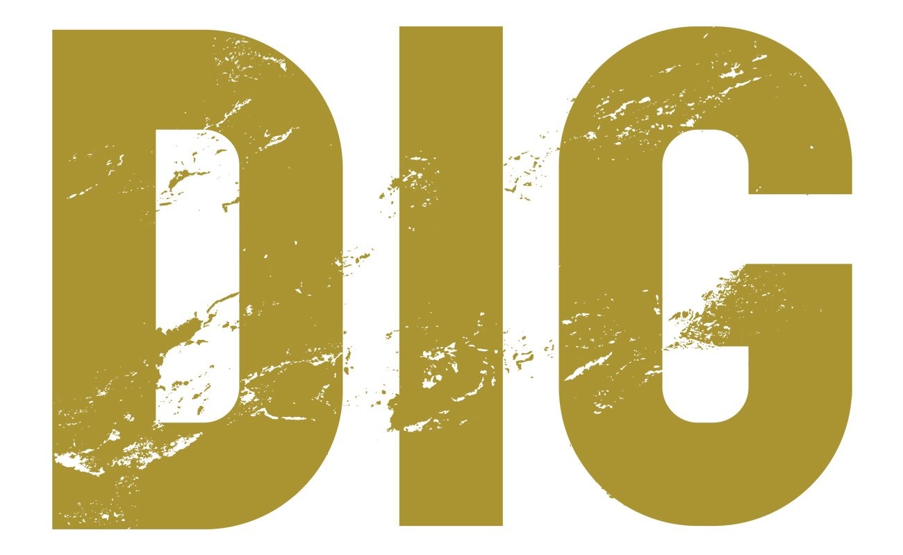 Раскопки (2015)