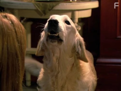 Крод Мандун и Огненный меч (2009)