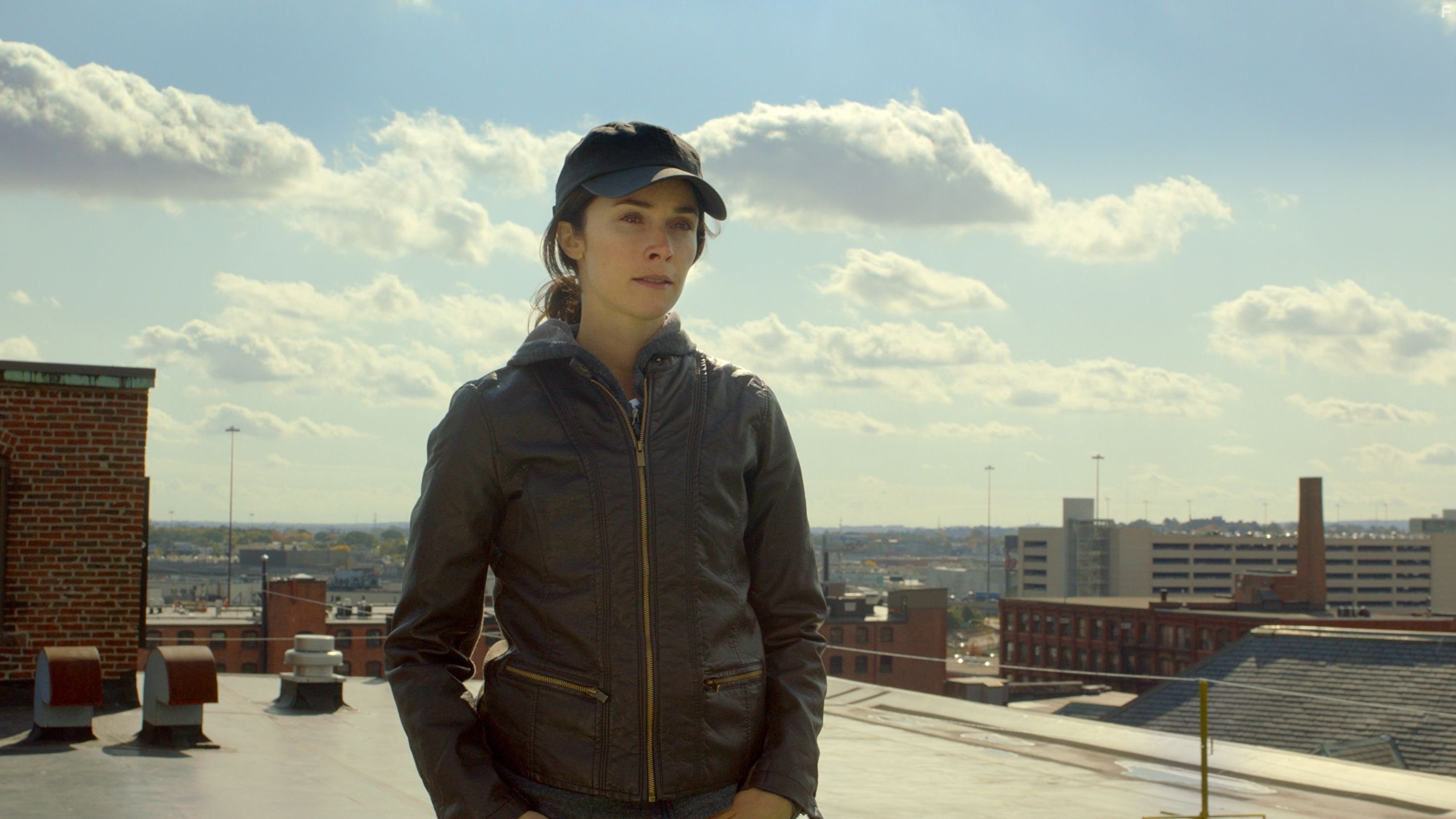 Abigail Spencer in Фальсификатор (2014)