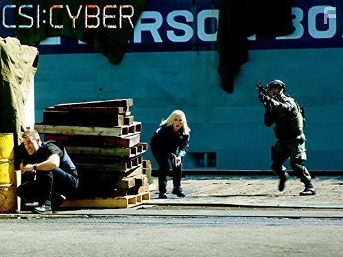 CSI: Киберпространство (2015)