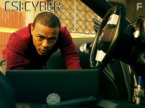 CSI: Киберпространство (2015)