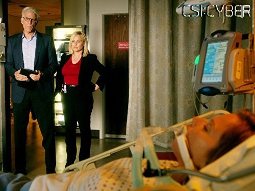 CSI: Киберпространство (2015)
