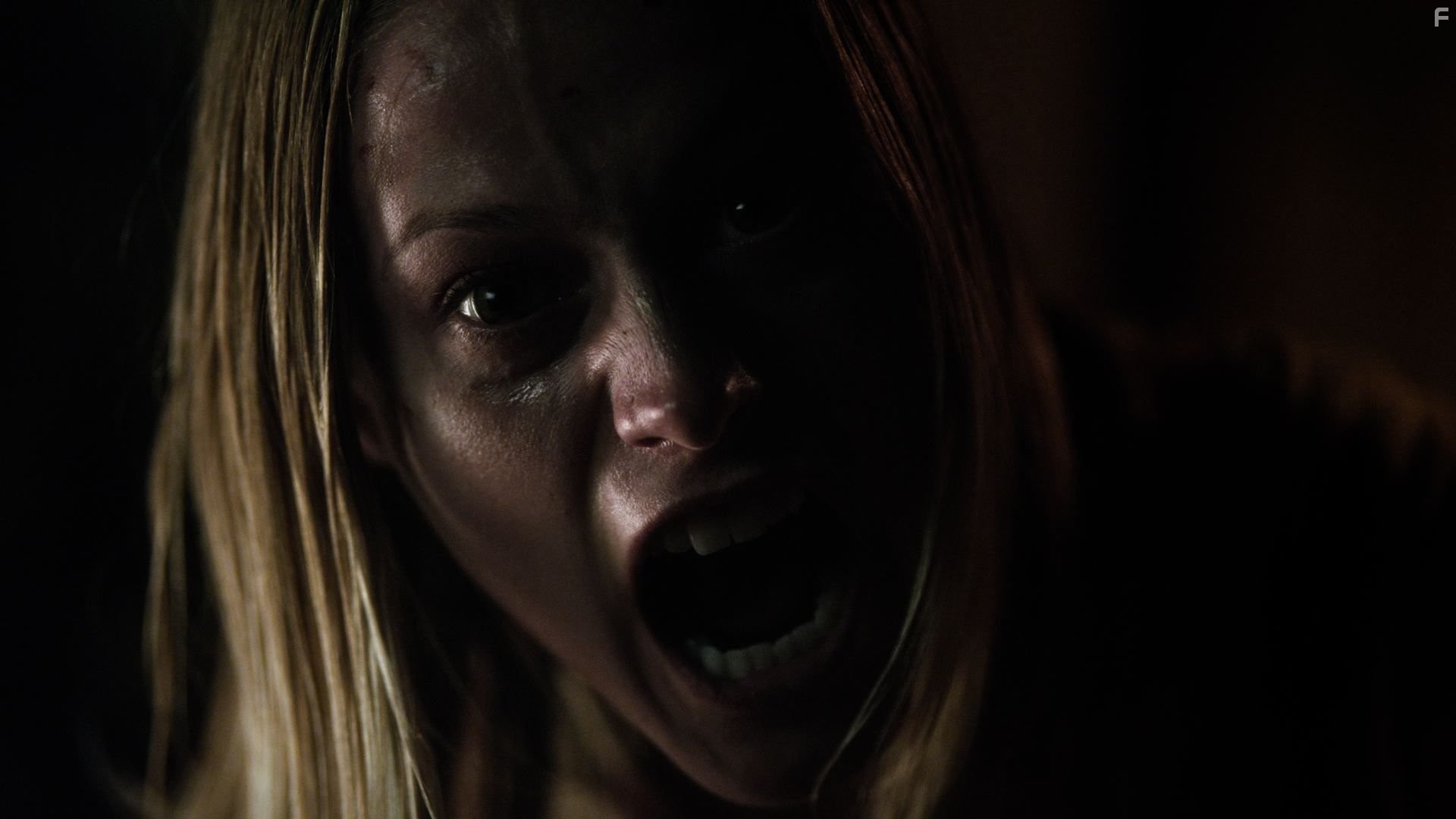 Ватиканские записи (2015)