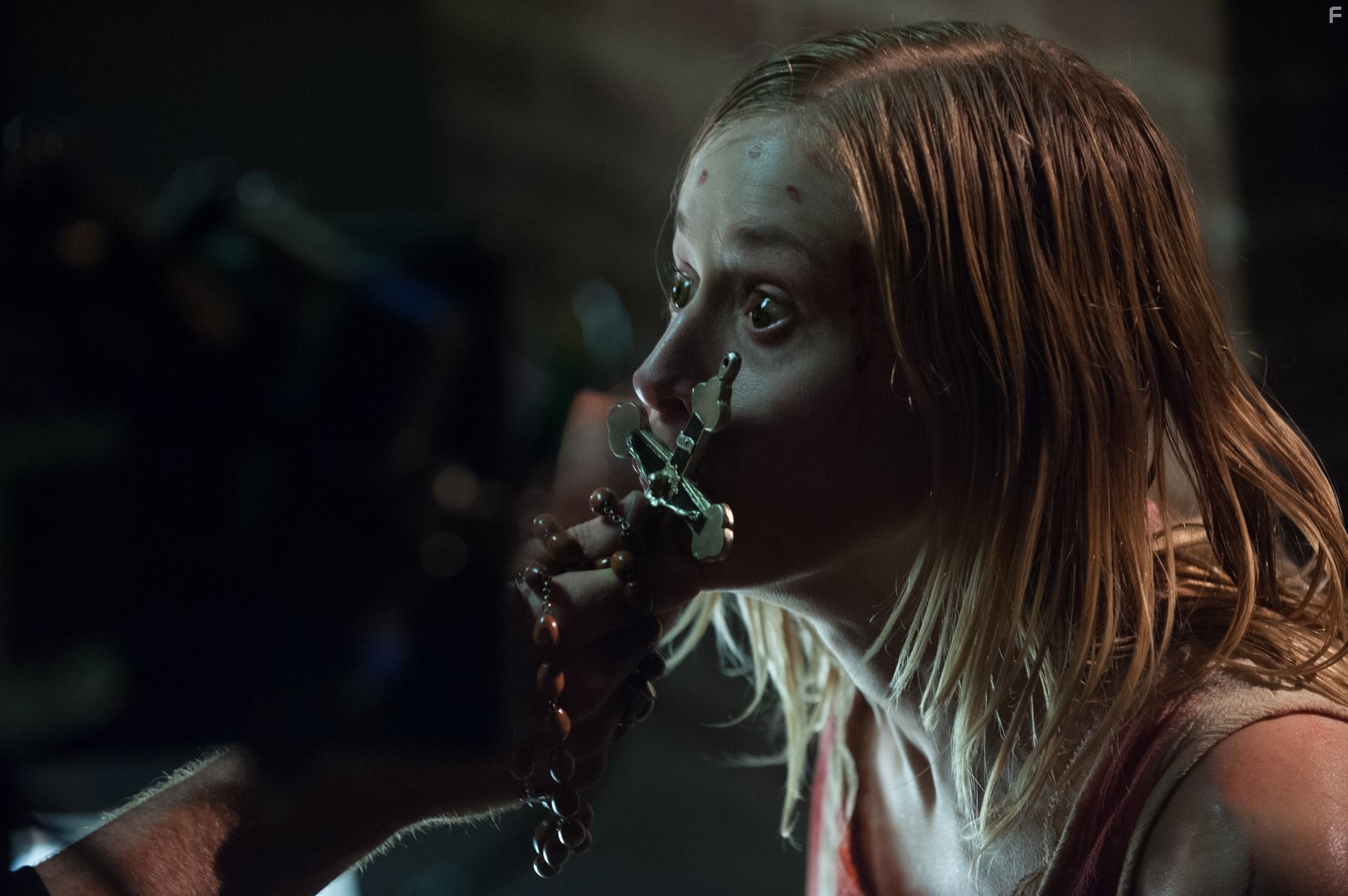 Ватиканские записи (2015)