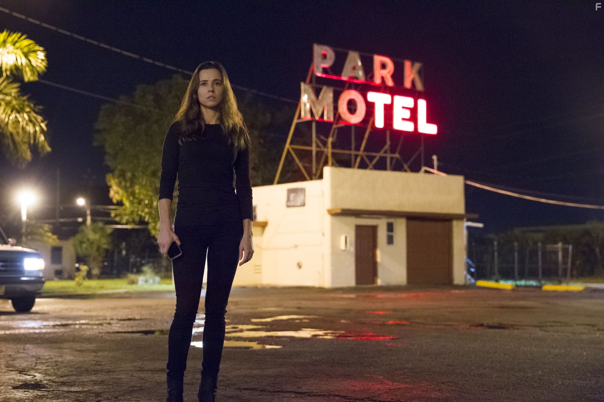 Linda Cardellini in Родословная (2015)