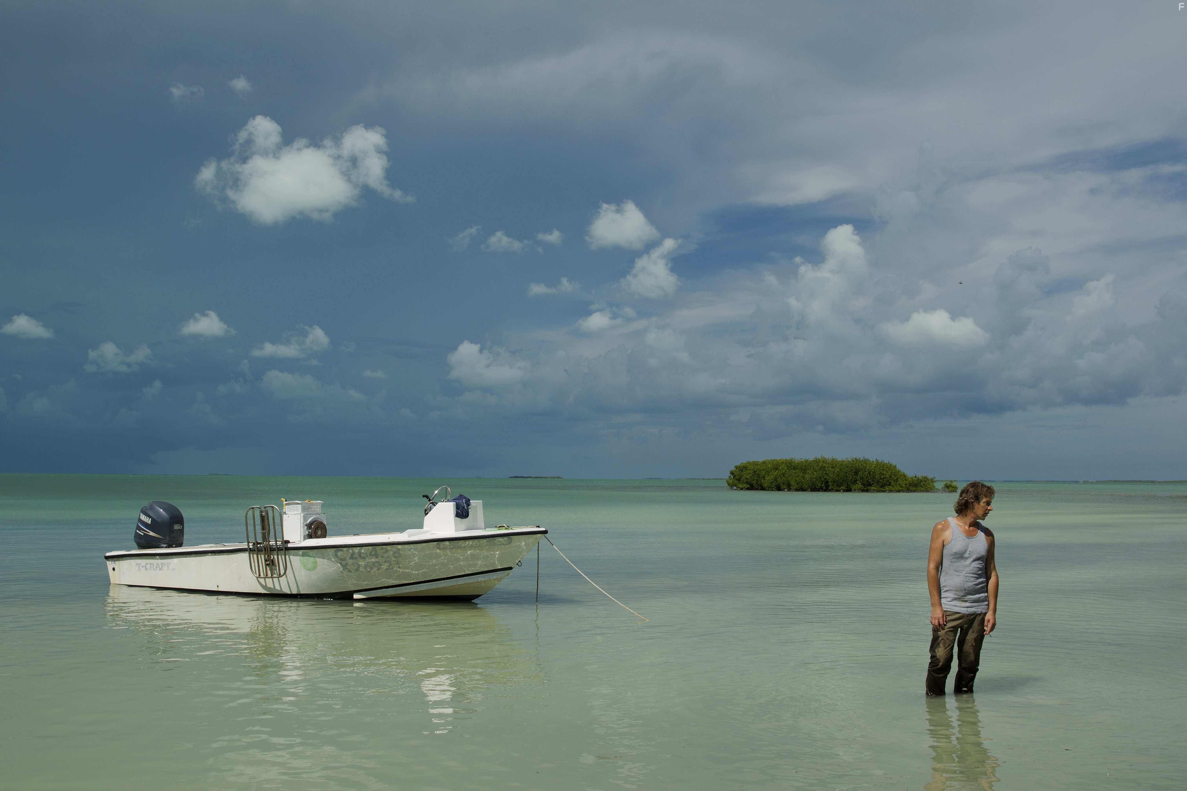 Ben Mendelsohn in Родословная (2015)