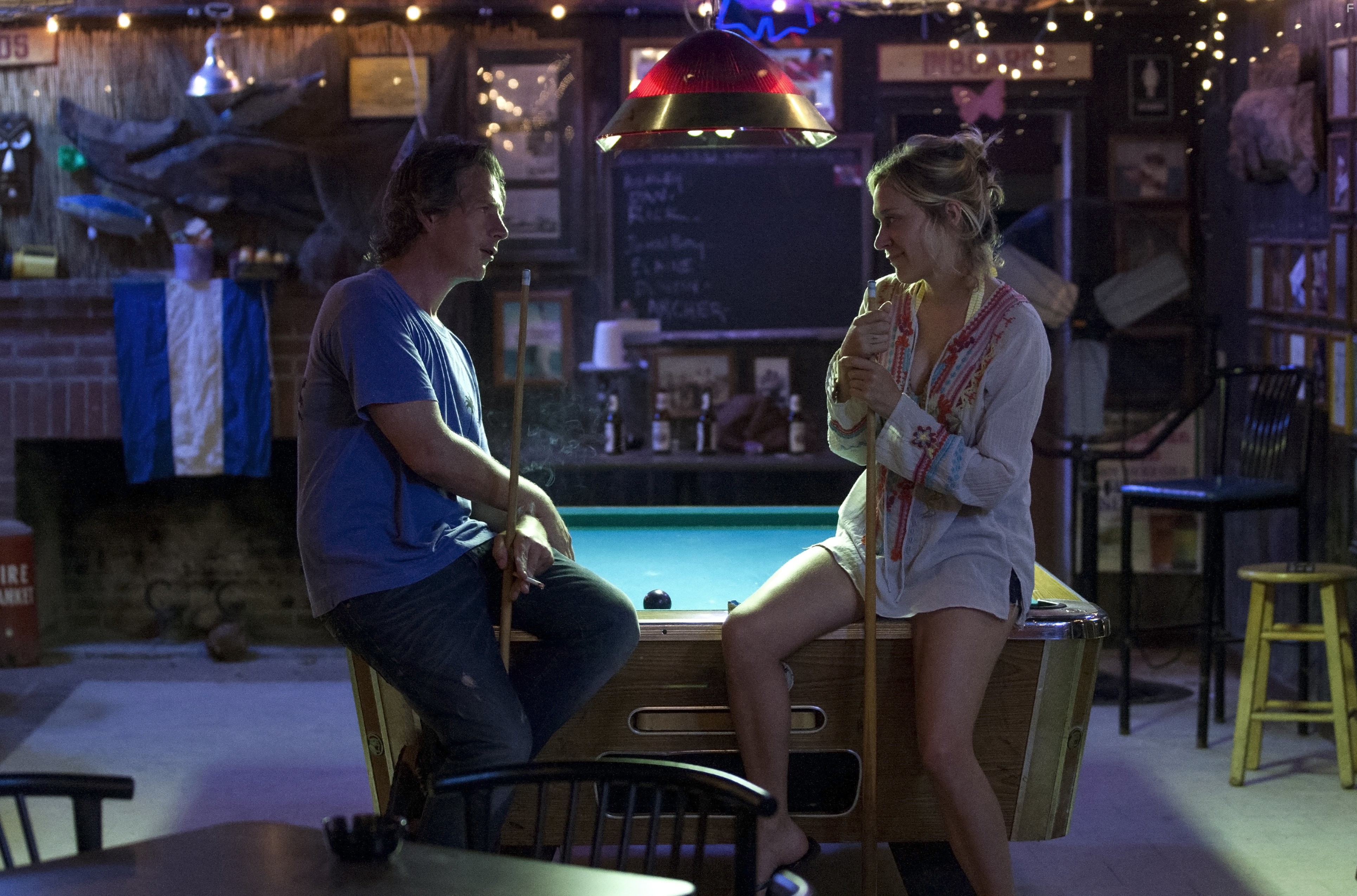 Chlo? Sevigny and Ben Mendelsohn in Родословная (2015)