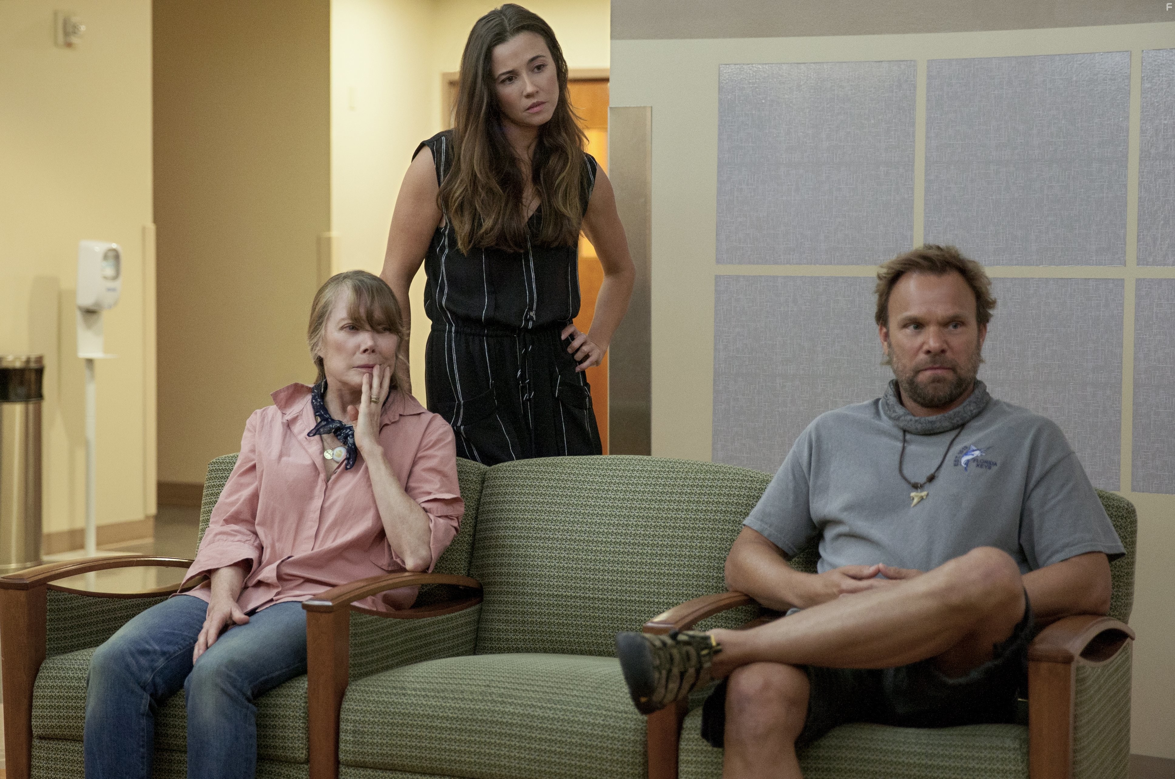 Sissy Spacek, Linda Cardellini, and Norbert Leo Butz in Родословная (2015)
