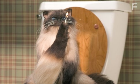 Киносвидание (2006)