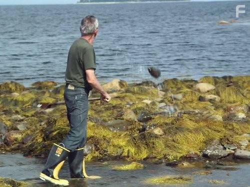 Проклятие острова Оук (2014)