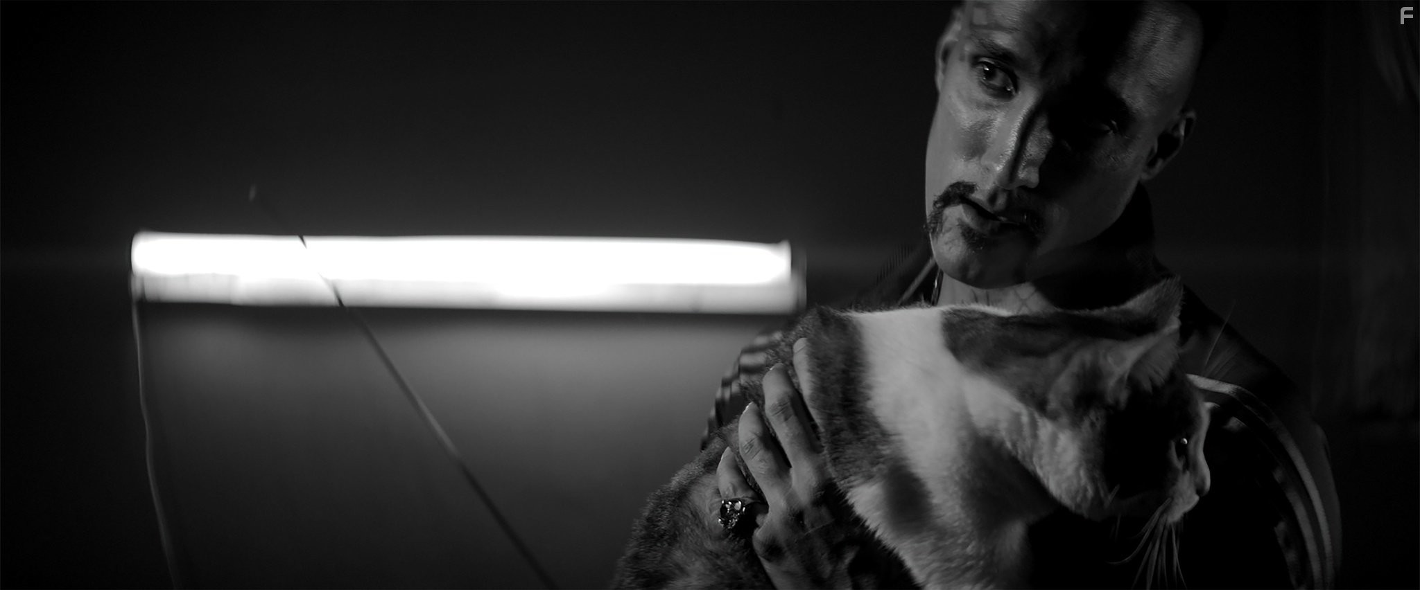 Девушка возвращается одна ночью домой (2014)