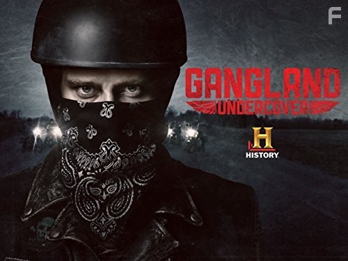 Под прикрытием (2015)