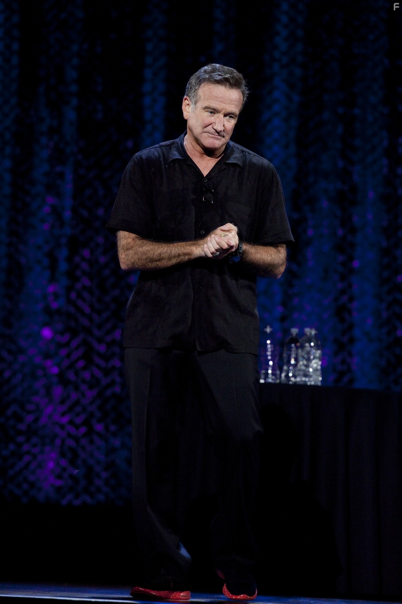 Robin Williams in Робин Уильямс: Оружие самоуничтожения (2009)