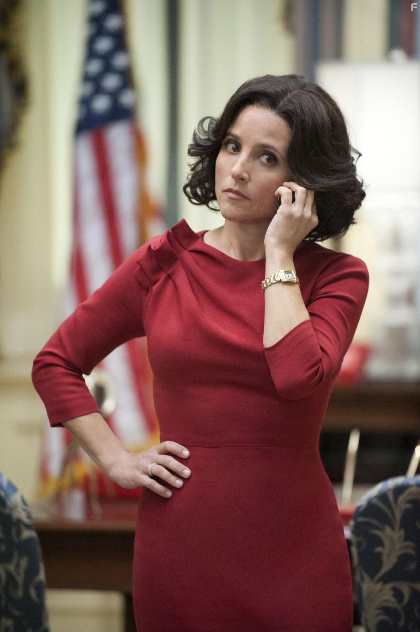 Julia Louis-Dreyfus in YИП (2012)