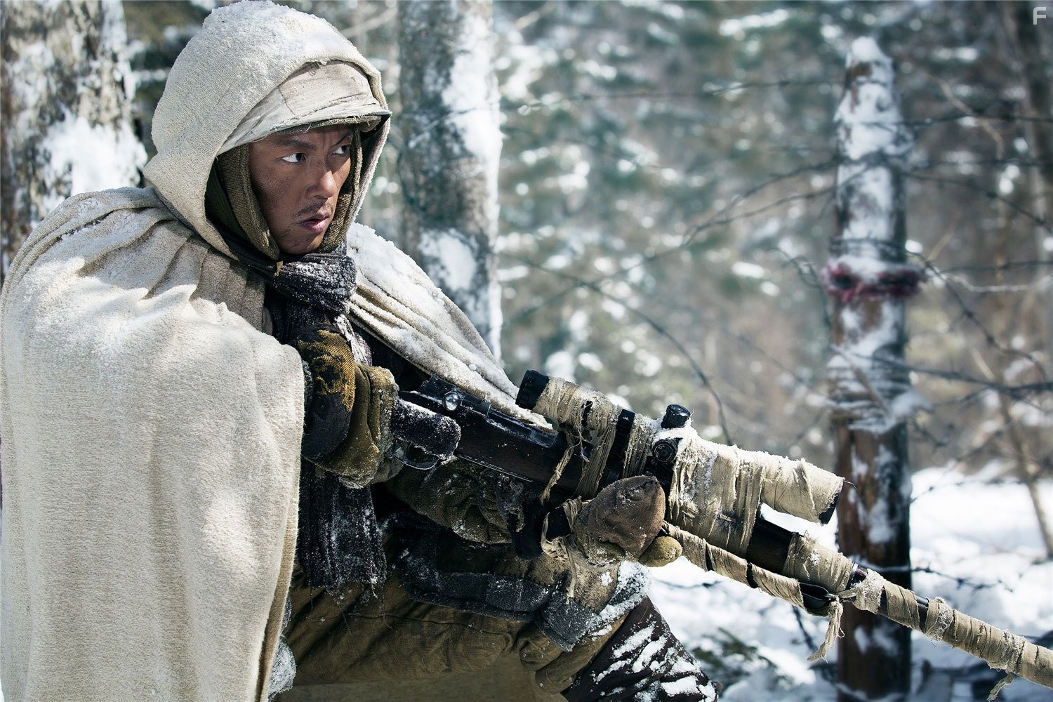 Захват горы тигра (2014)