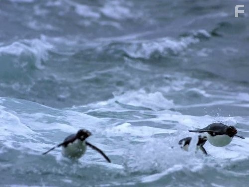 Great Migrations (2010)