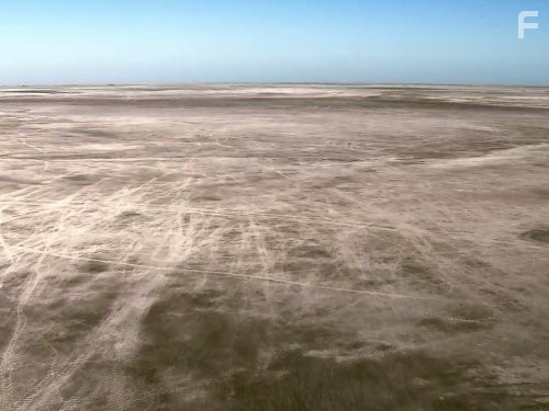 Great Migrations (2010)