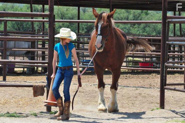 История одной лошадки