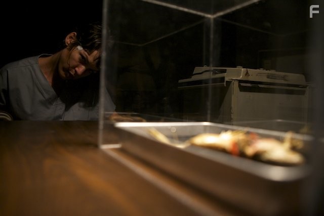 Институт Аттикус (2015)