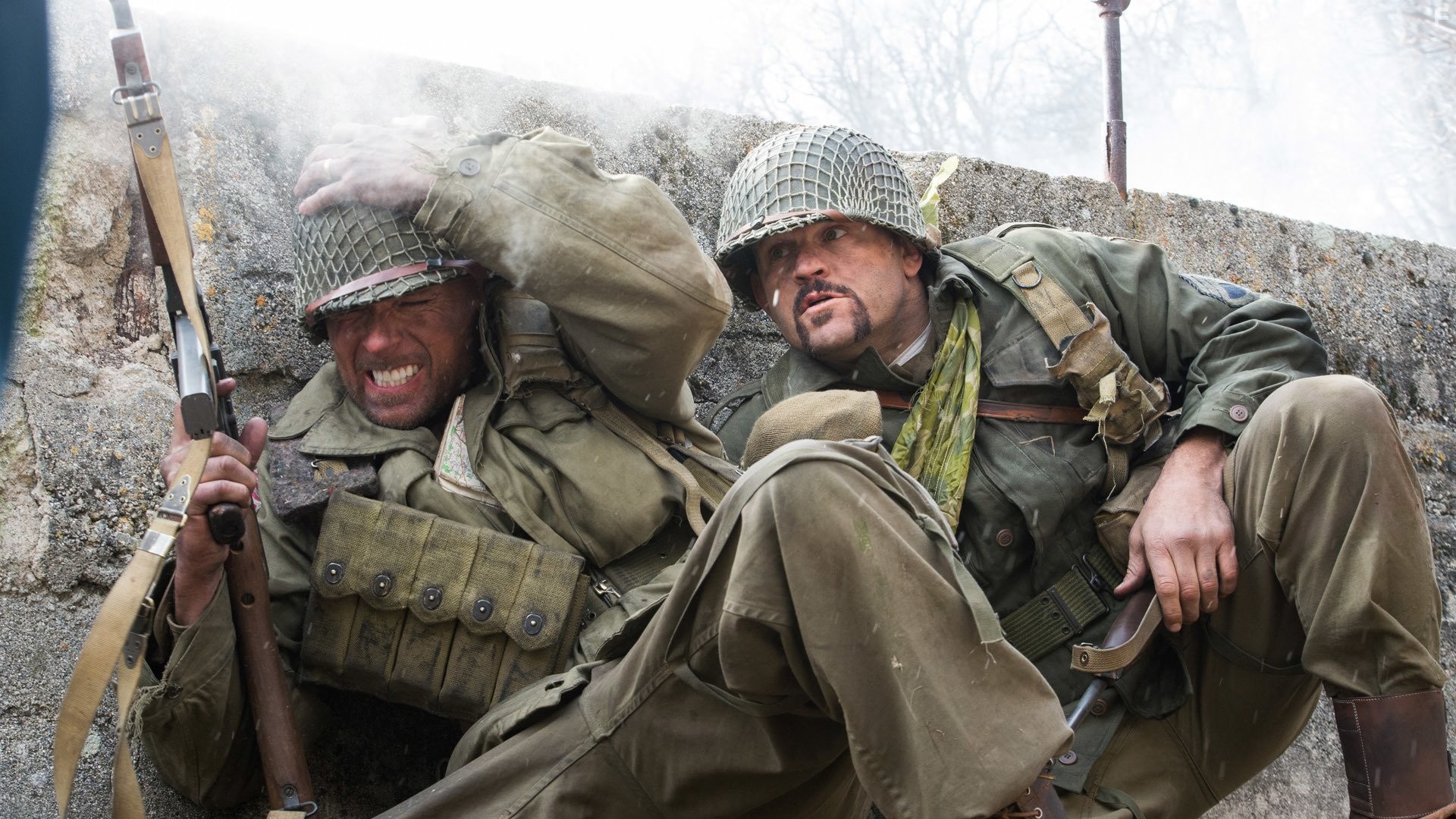 Боевые свиньи