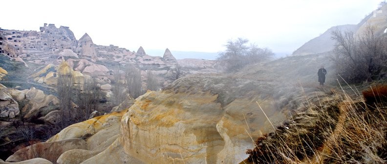 Зимняя спячка (2014)