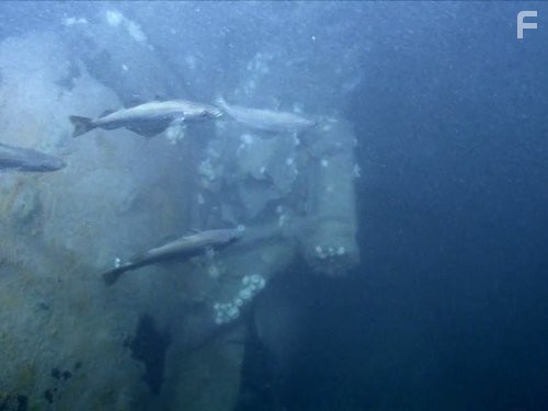 Treasure Quest (2009)