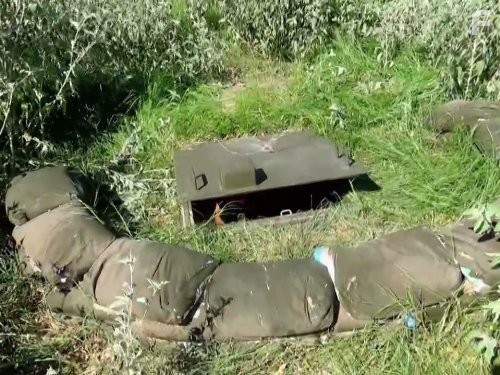 Codes and Conspiracies (2014)