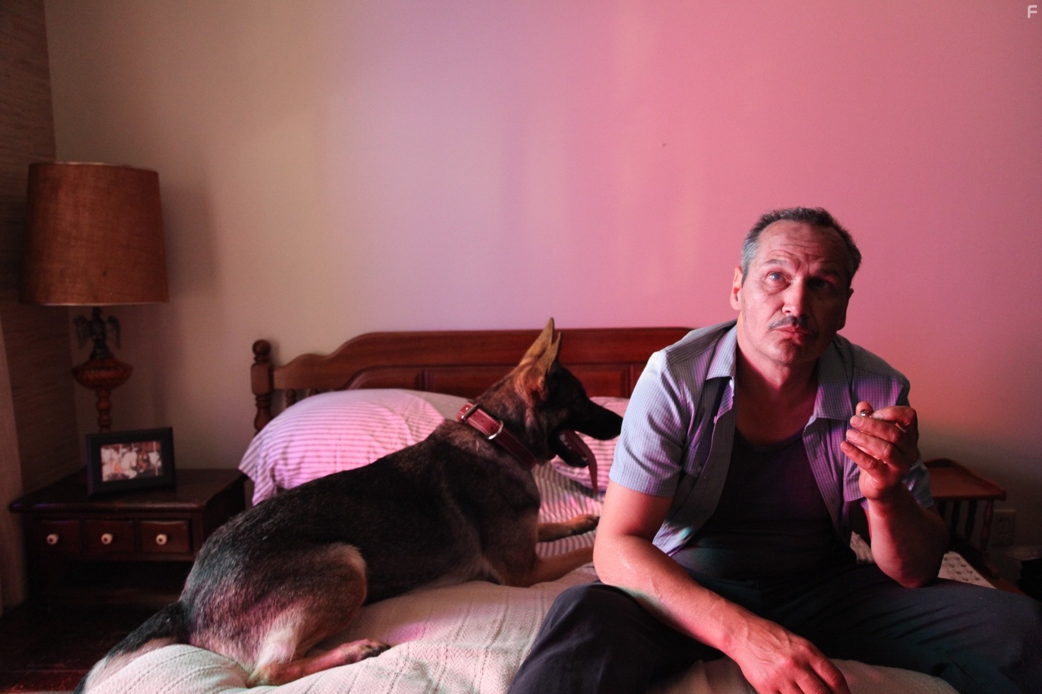 Nick Damici in Поздние фазы (2014)