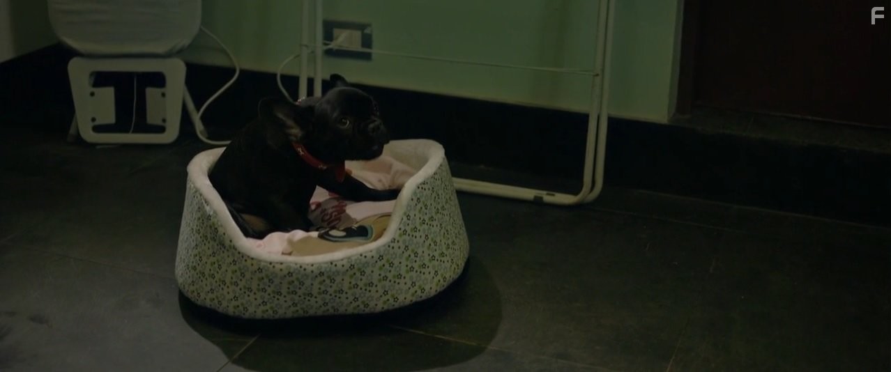 Otto in Кто там (2015)