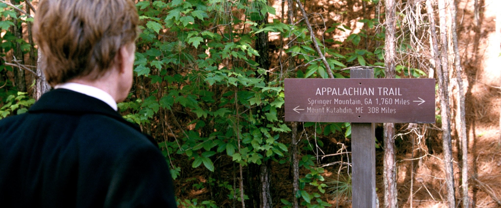 Robert Redford in Прогулка по лесам (2015)