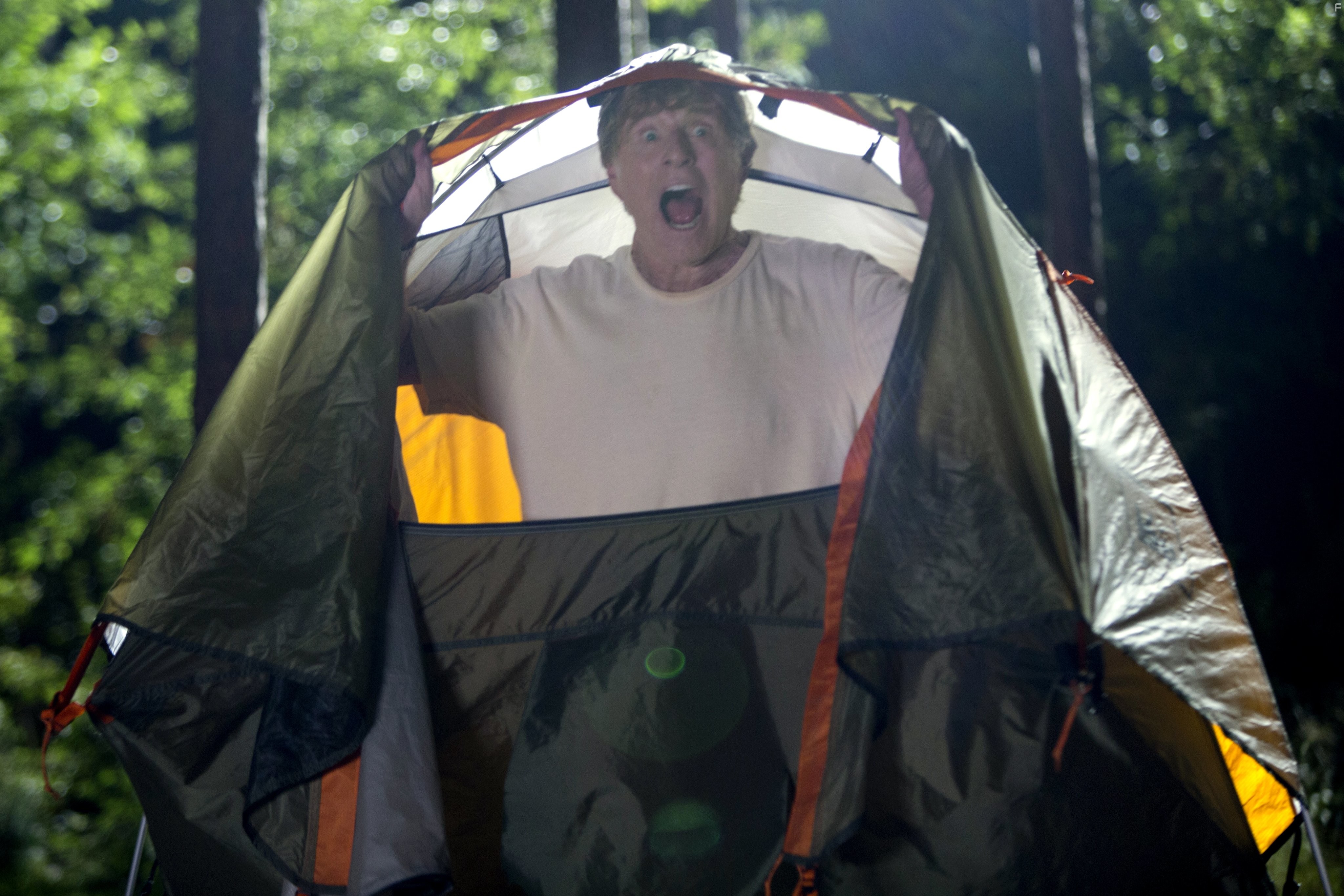 Robert Redford in Прогулка по лесам (2015)