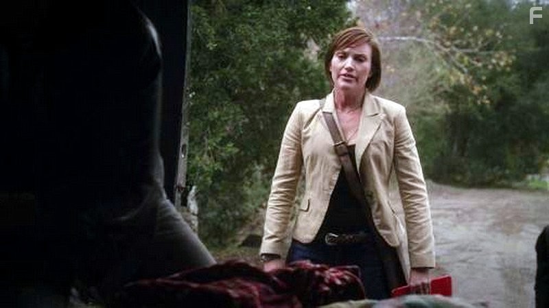 Землетрясение в Сан-Андреас