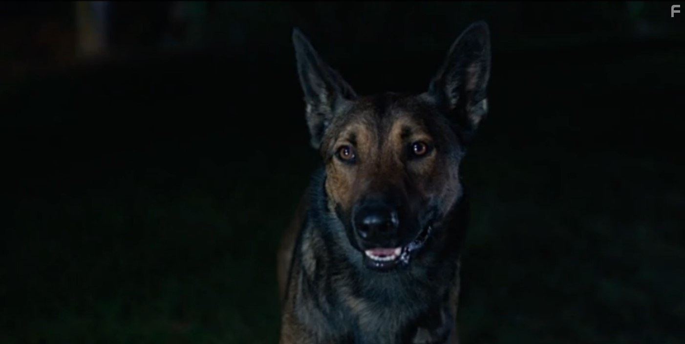 Carlos in Макс (2015)