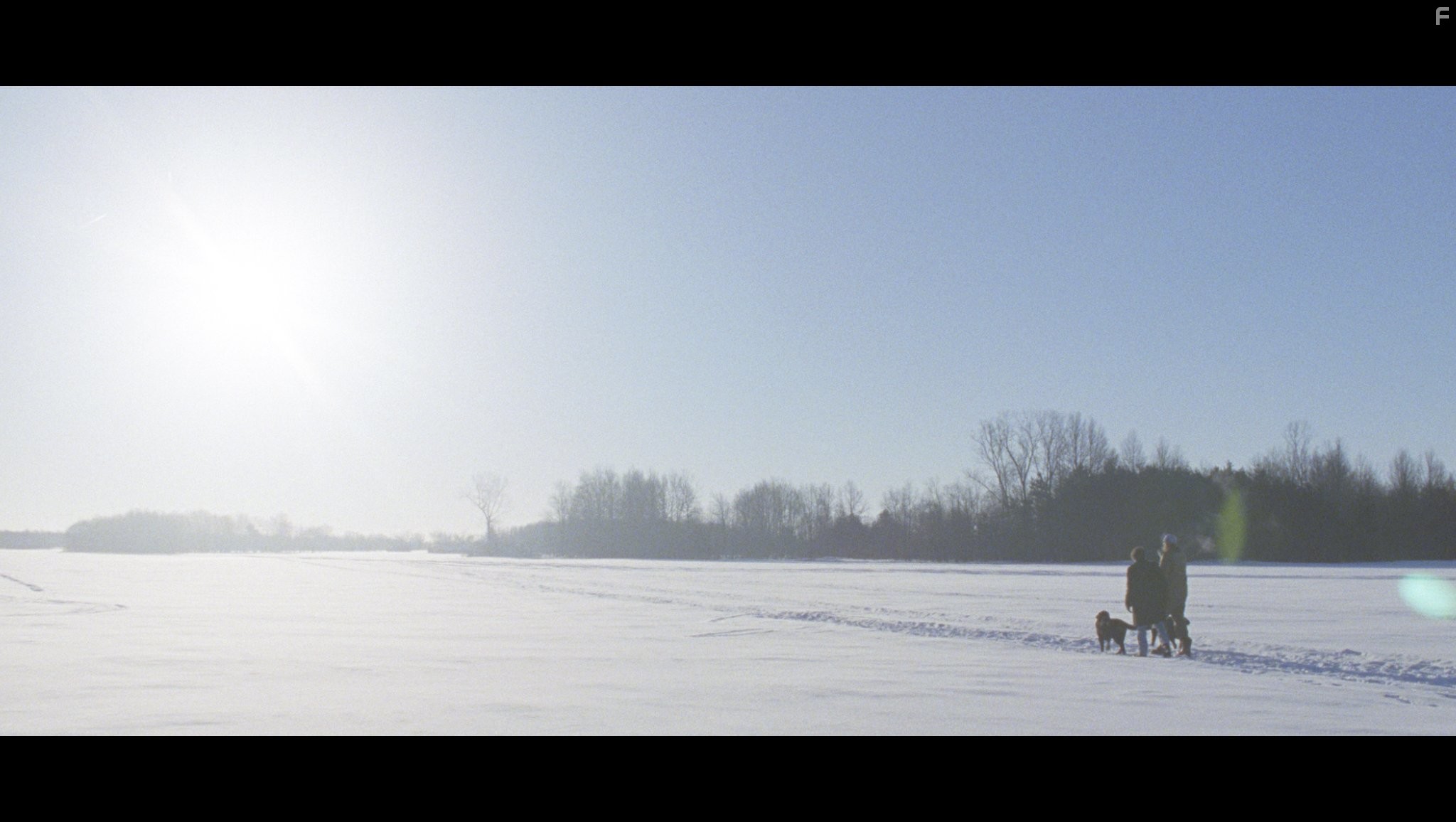 Конец тура (2015)