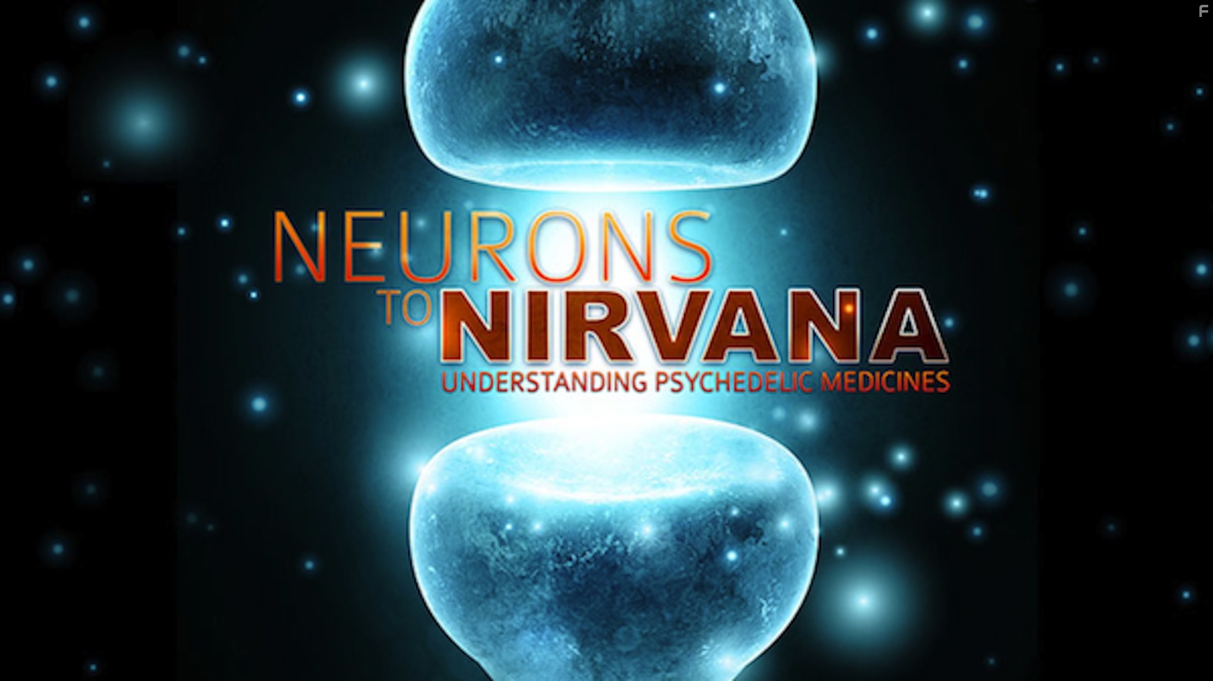 Neurons to Nirvana (2013)