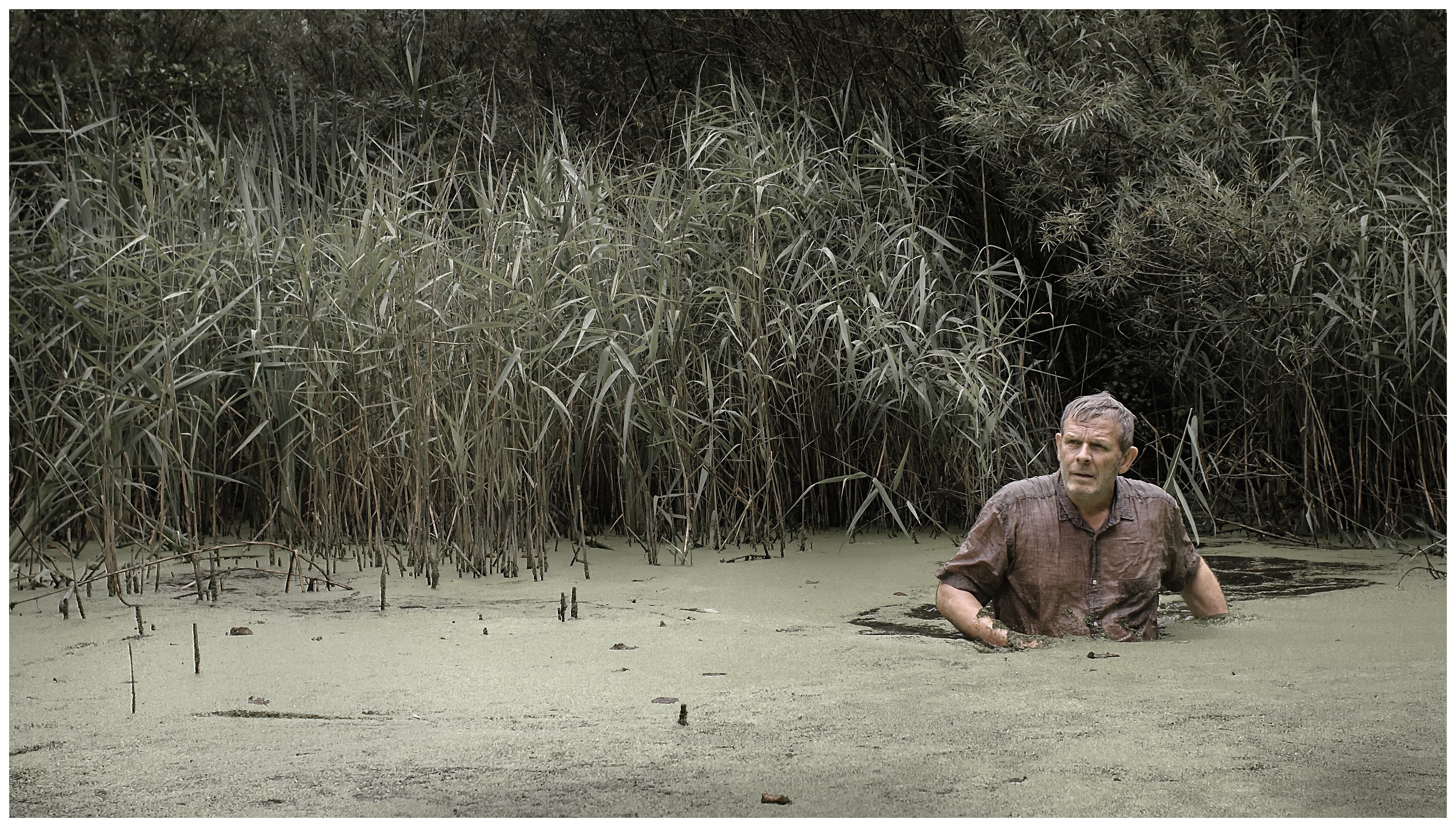 Alex van Warmerdam in Schneider vs. Bax (2015)