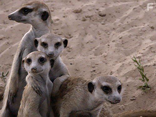 Уникальные способности животных #1