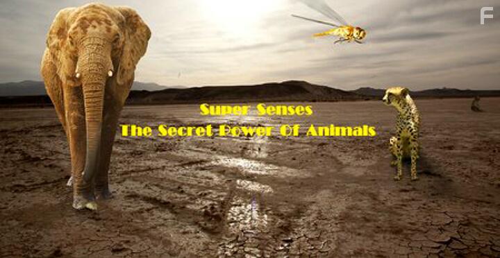 Уникальные способности животных #3