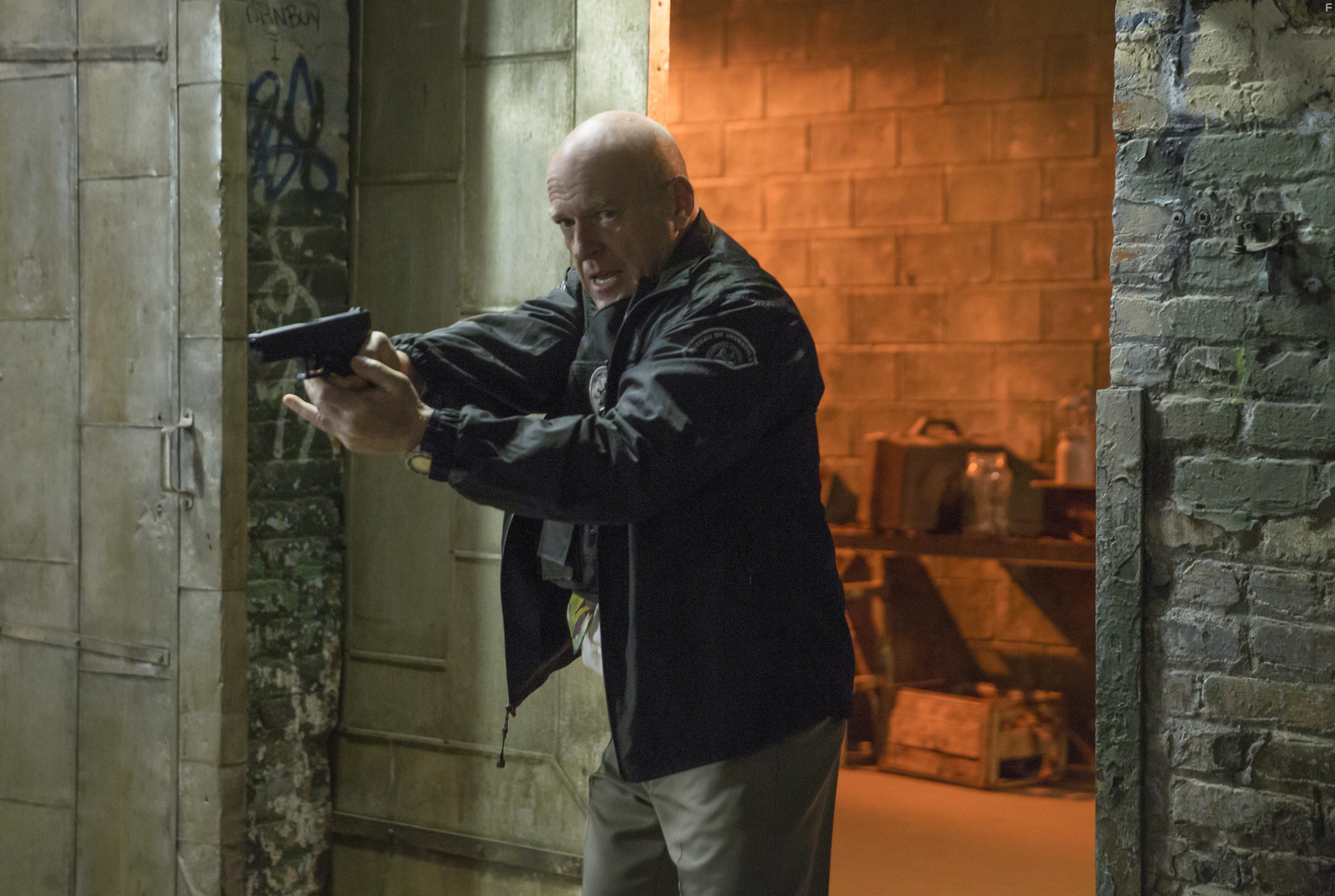 Dean Norris in Тайна в их глазах (2015)