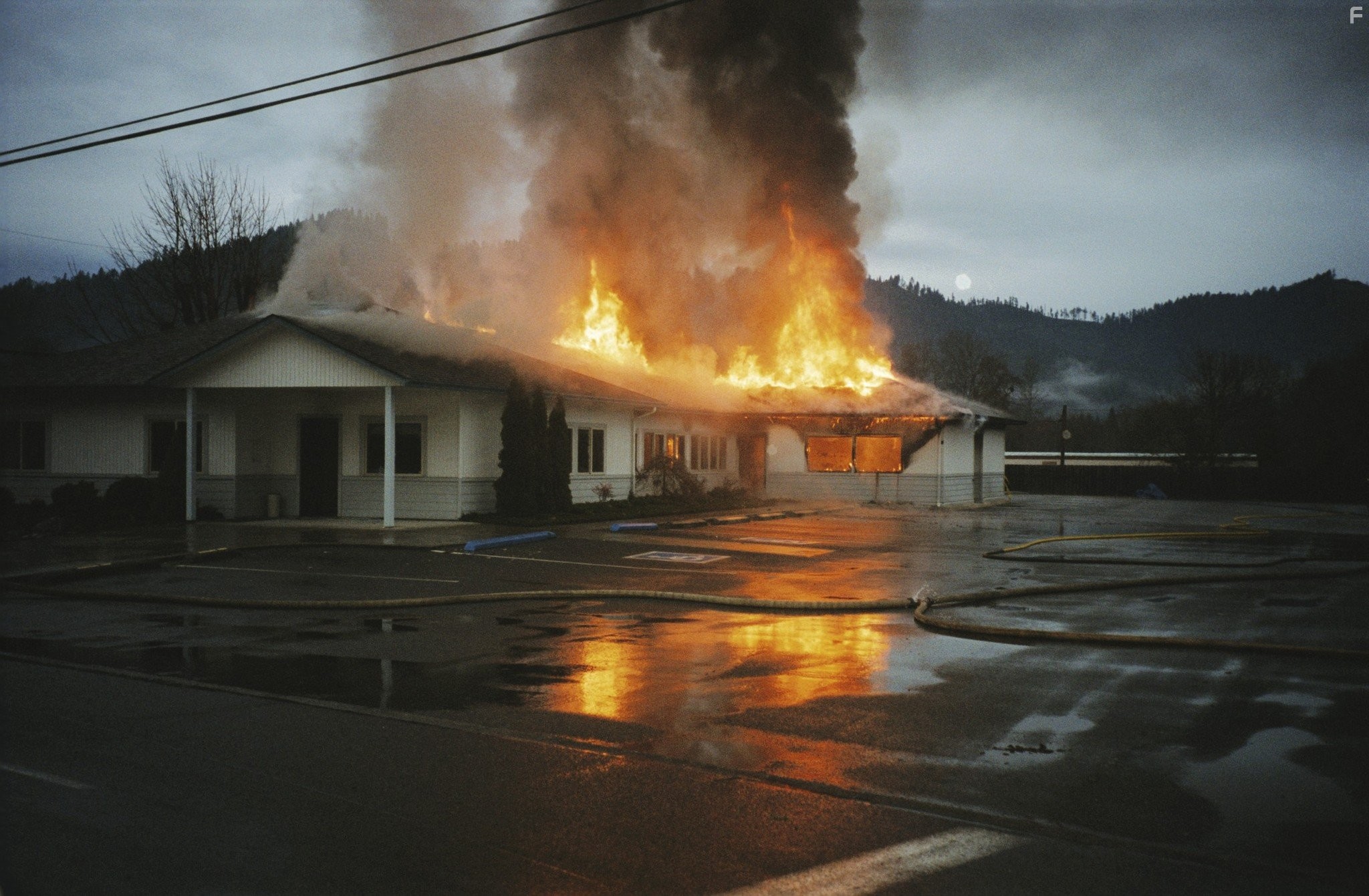 Если дерево упадет (2011)